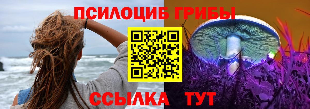 Галлюциногенные грибы мицелий Топки
